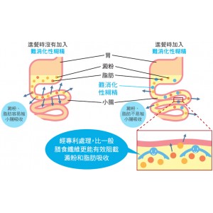 The Wise Man's Dining 賢者的食卓膳食纖維 (阻澱粉 隔油份) 30包/盒